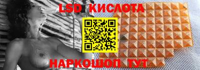 дмт Будённовск