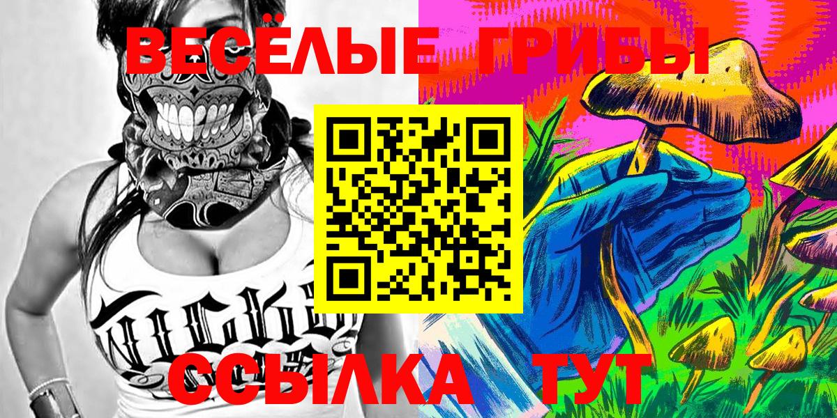 Галлюциногенные грибы Psilocybe  Вход с VPN  Нижнекамск 