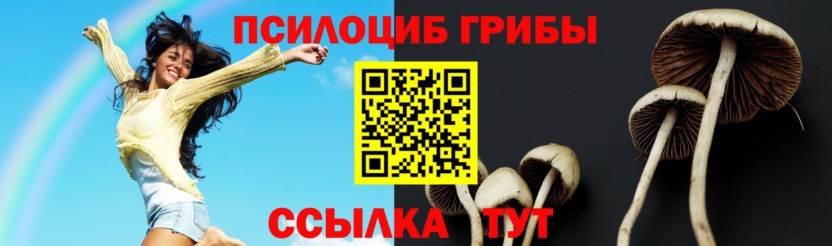 Галлюциногенные грибы GOLDEN TEACHER Нижнекамск